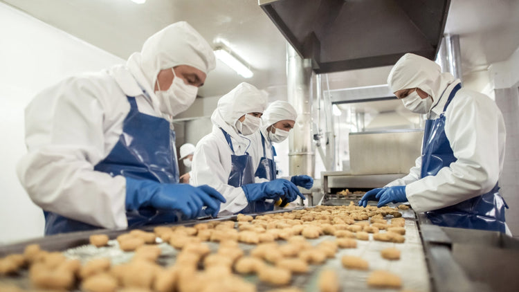 Stainless Steel Castors Across Food, Health and Hospitality